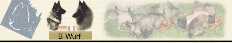 B_Wurf_Banner